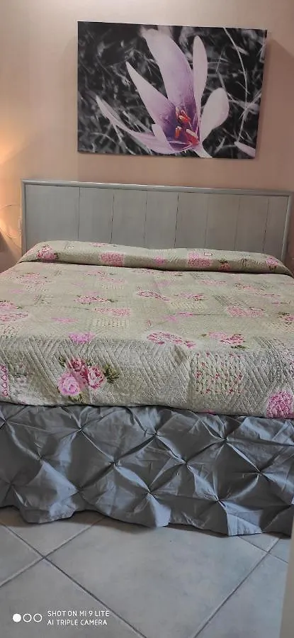 The Flowers Rooms Cefalu 0*,